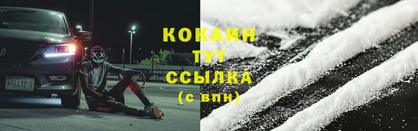 ГАЛЛЮЦИНОГЕННЫЕ ГРИБЫ Бородино