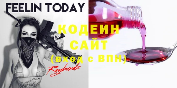 спиды Богданович