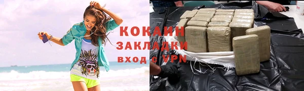 ГАЛЛЮЦИНОГЕННЫЕ ГРИБЫ Бородино