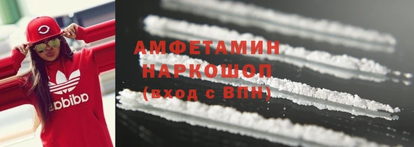 сатива Бронницы
