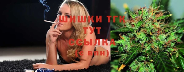 ГАЛЛЮЦИНОГЕННЫЕ ГРИБЫ Бородино