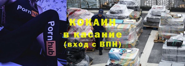сатива Бронницы