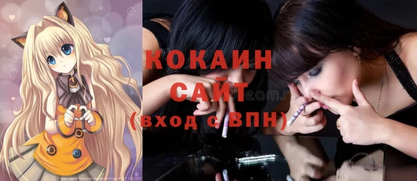 ГАЛЛЮЦИНОГЕННЫЕ ГРИБЫ Бородино