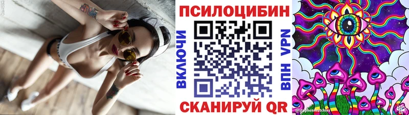 Псилоцибиновые грибы Cubensis  МЕГА ССЫЛКА  Могоча 